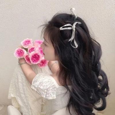 切斯纳特：中央公园的英雄